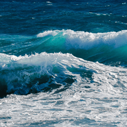 Could living near water be the secret to happiness?