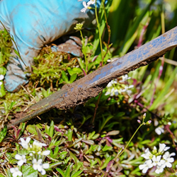 Simple steps to declutter your garden before selling