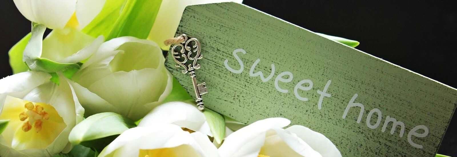 Banner for Five Quick and Easy Ways to Add Value to Your Home