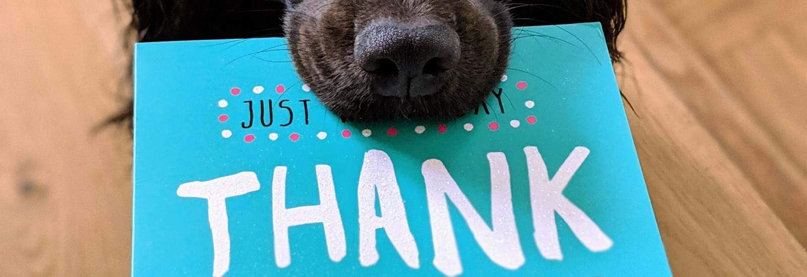 Banner for We wish you a Merry Christmas – Especially Crawley's community heroes