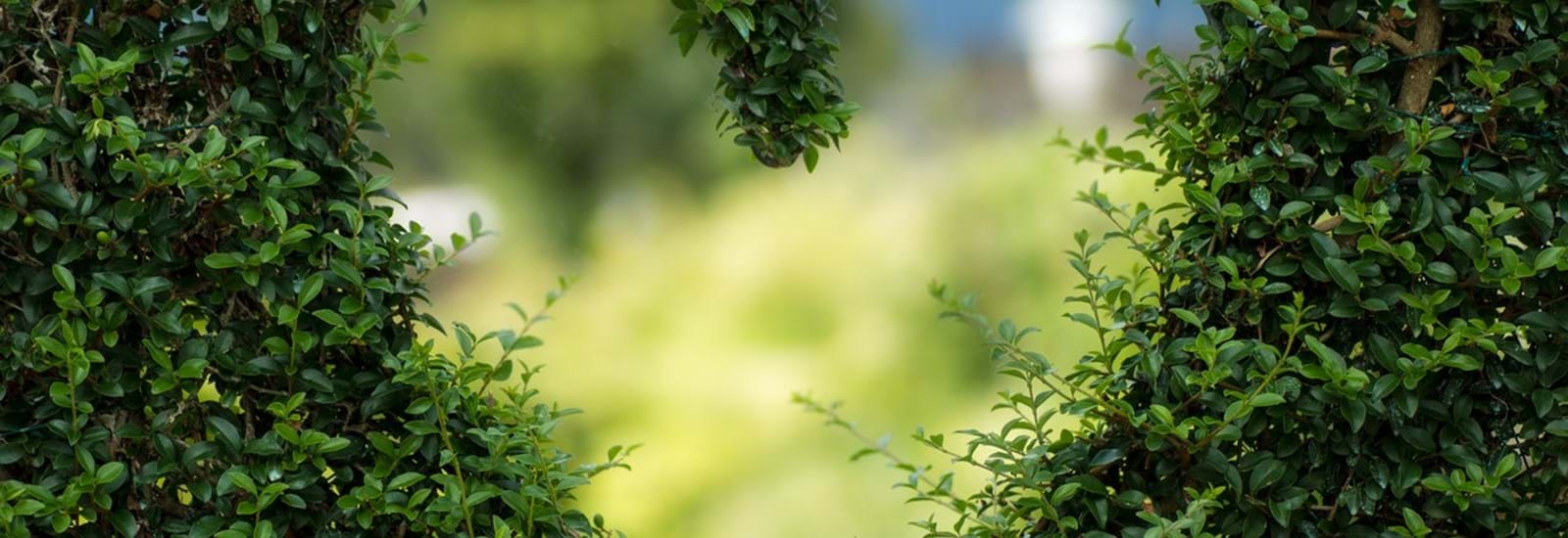 Banner for Join the people in Crawley who are digging their way to better health