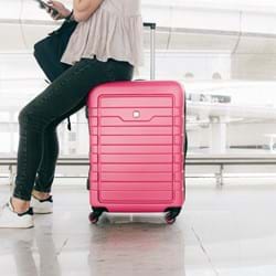 What will you be doing during your summer holiday this year?
