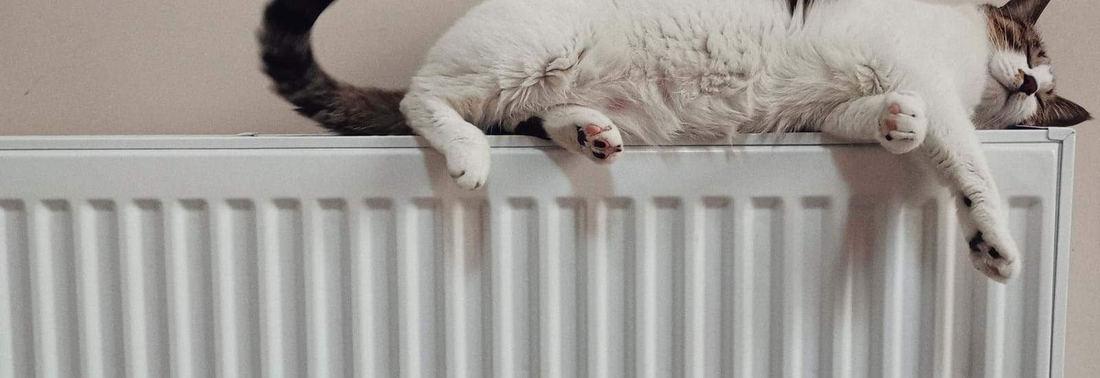 Banner for How you can heat your Crawley home for less during a lockdown