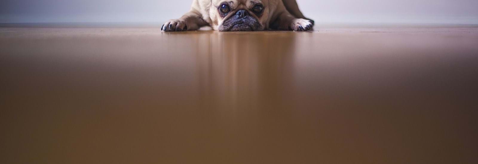 Banner for How Landlords in Crawley Can Beat the Blues