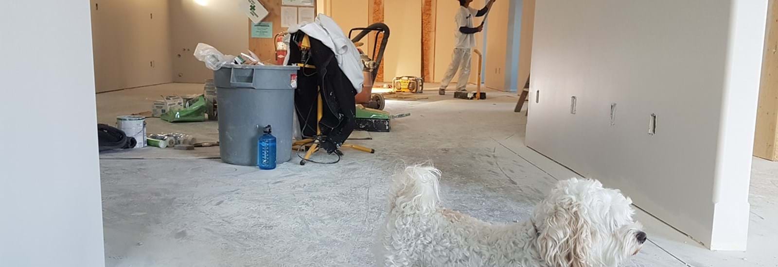 Banner for Crawley Homeowners Beware: The Top Five Renovation Mistakes