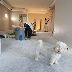Crawley Homeowners Beware: The Top Five Renovation Mistakes