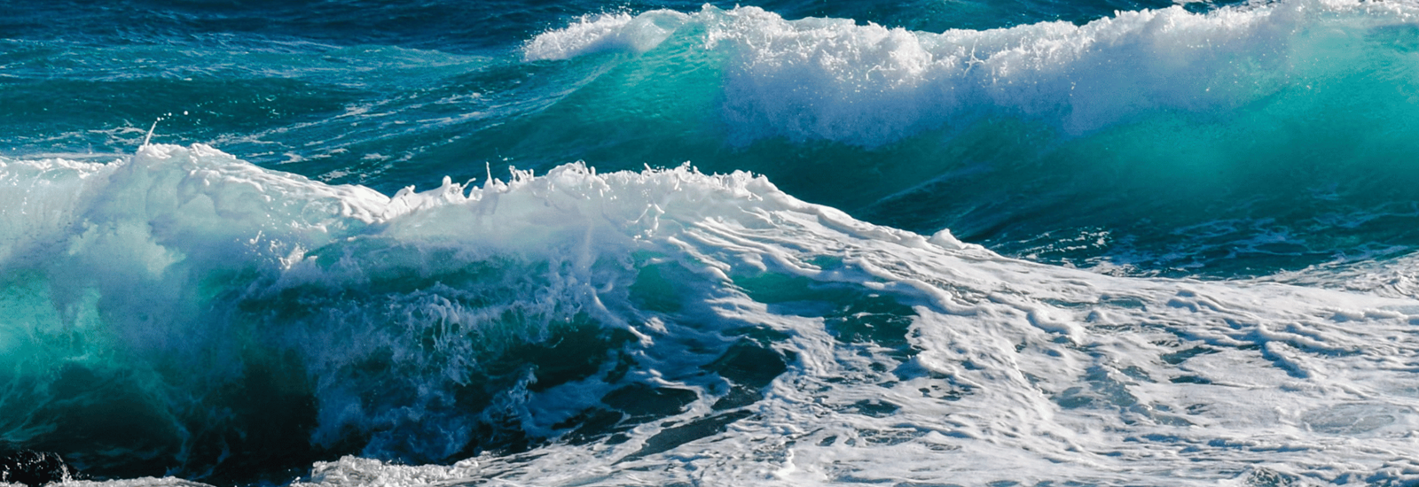 Banner for Could living near water be the secret to happiness?