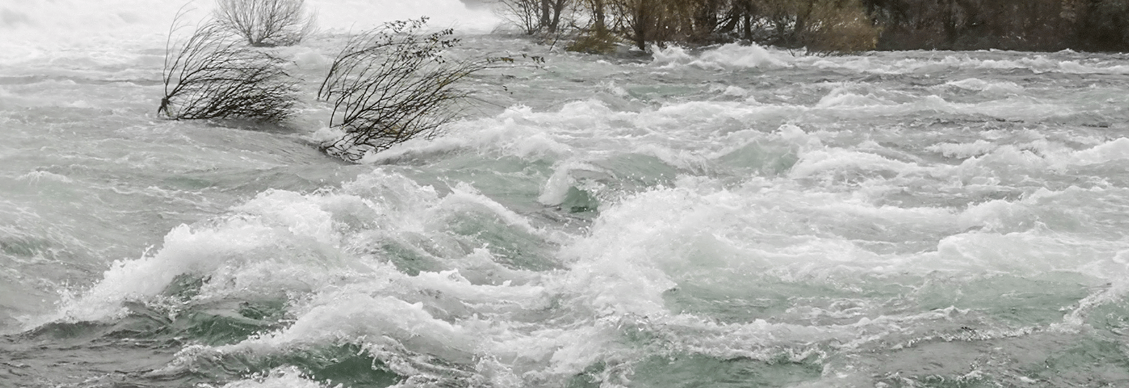 Banner for Buying a home with a flood risk