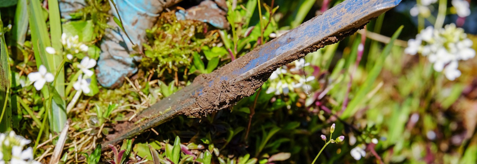 Banner for Simple steps to declutter your garden before selling